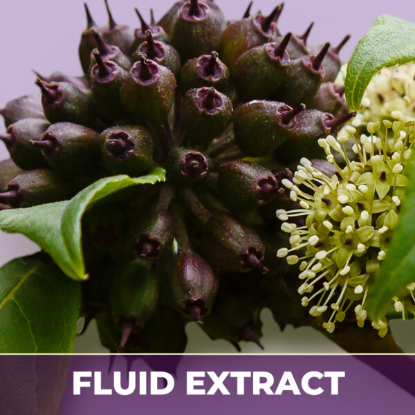 Eleuthero fe, liquid extract
