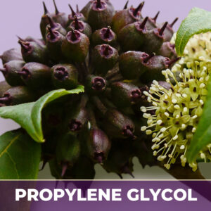 Eleuthero root in pg, liquid extract; in propylene glycol