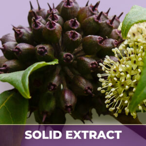 Eleuthero se, solid extract
