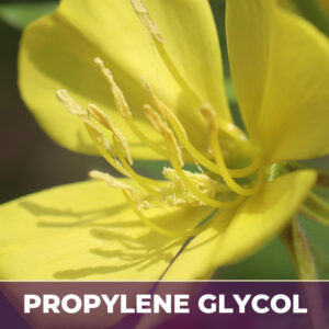Evening primrose flower in pg, liquid extract; in propylene glycol