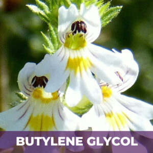 Eyebright herb in bg, liquid extract; in butylene glycol