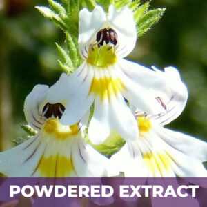 Eyebright pe, powdered extract