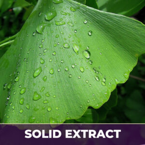 GINGKO BILOBA, SE