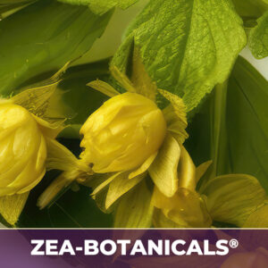 GOLDENSEAL ROOT ZEA-BOTANICALS®