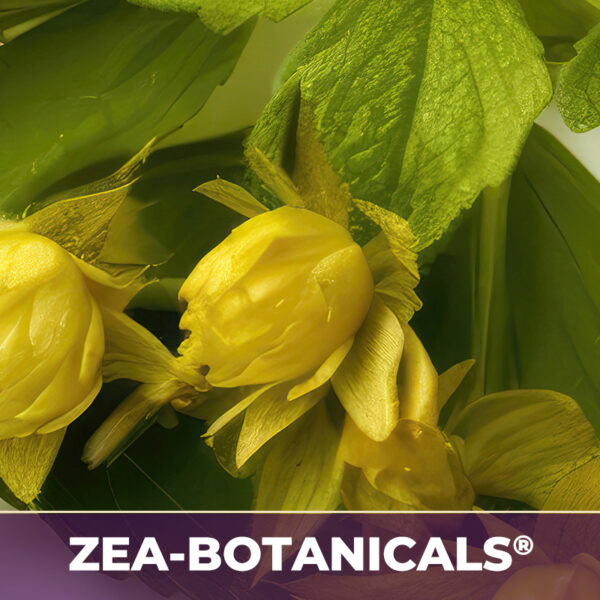 GOLDENSEAL ROOT ZEA-BOTANICALS®