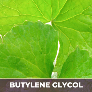 GOTU KOLA IN BG