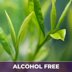 GREEN TEA EXTRACT, AF