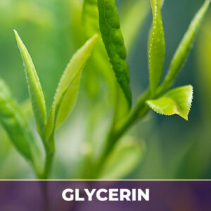 GREEN TEA LEAF IN GLYCERIN