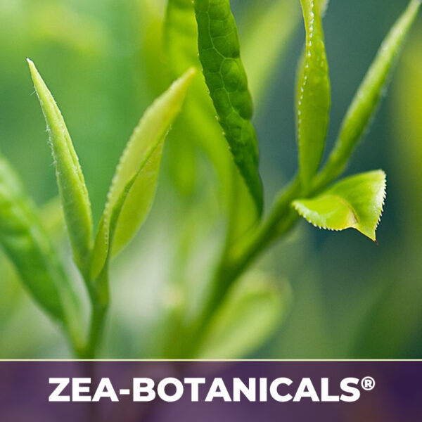 GREEN TEA LEAF ZEA-BOTANICALS®