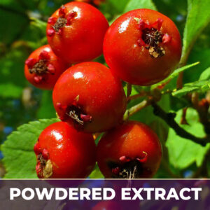 HAWTHORN BERRIES S.D., PE