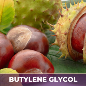 HORSE CHESTNUT SEED IN BG