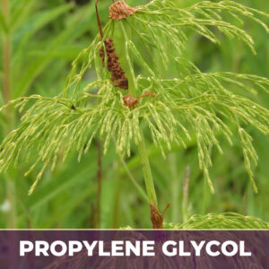 HORSETAIL HERB IN PG