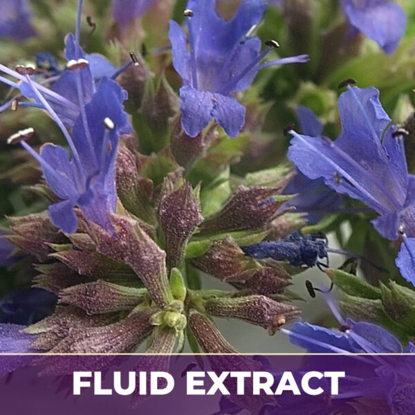 HYSSOP, FE