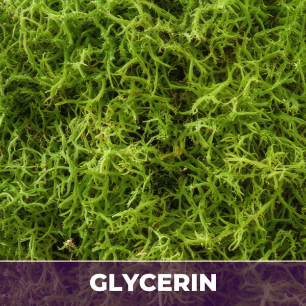 IRISH MOSS IN GLYCERIN