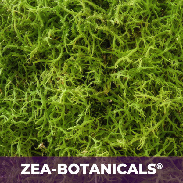IRISH MOSS ZEA-BOTANICALS®