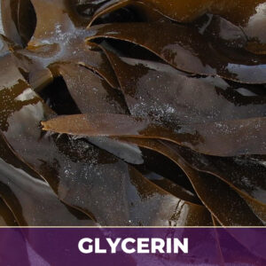 KELP IN GLYCERIN
