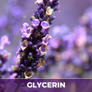 LAVENDER FLOWER IN GLYCERIN