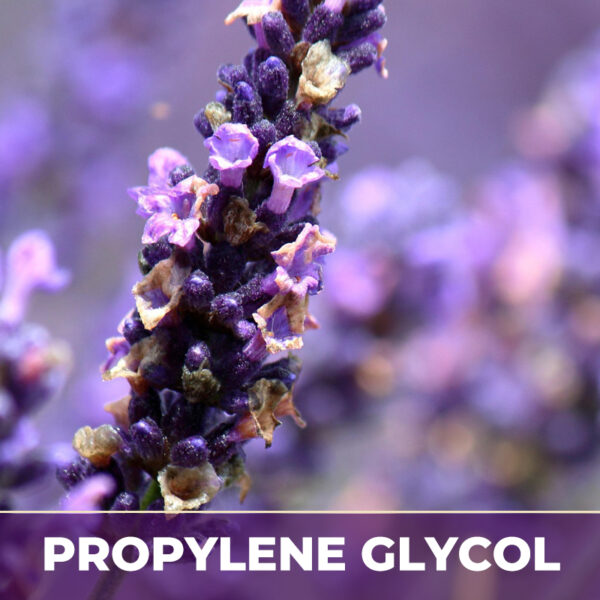 LAVENDER FLOWER IN PG