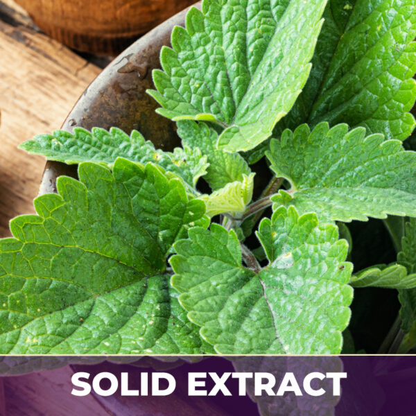 LEMON BALM, SE