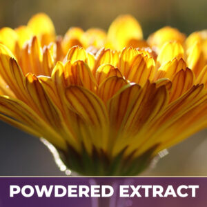 MARIGOLD, PE