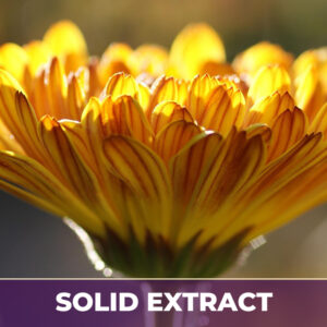 MARIGOLD, SE