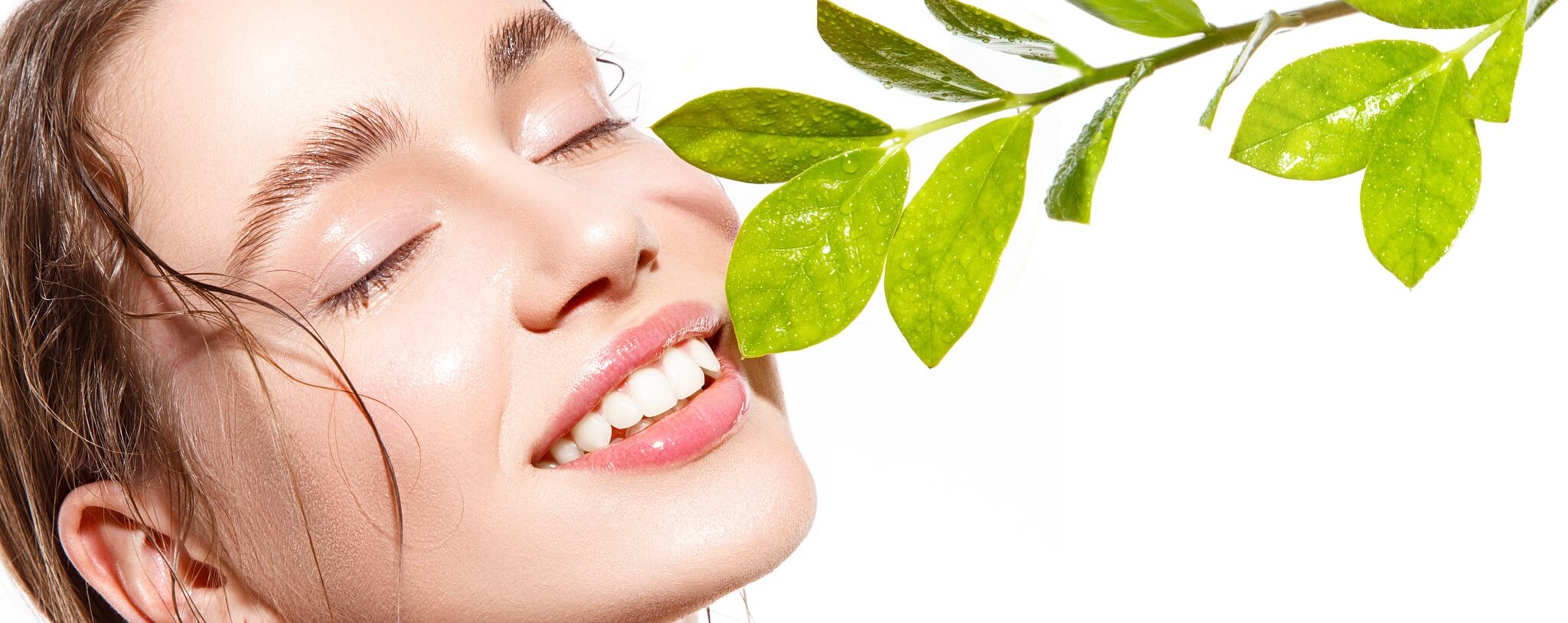 Best Extracts for Skincare