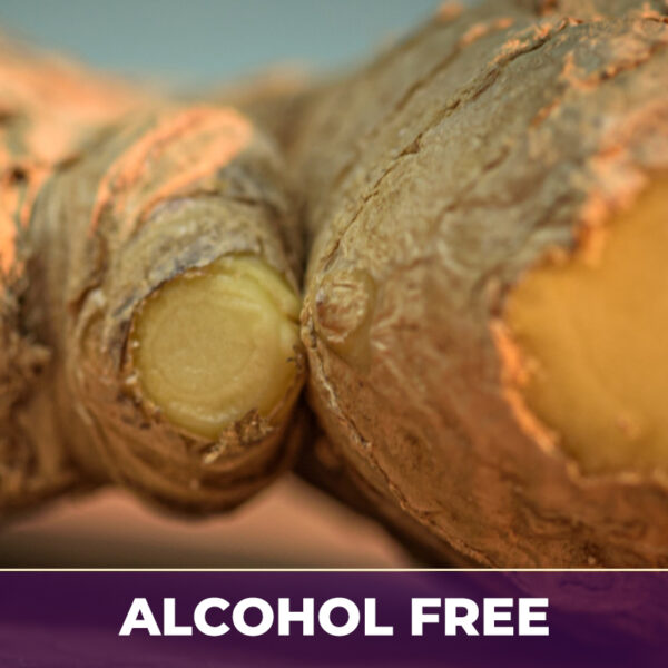 Ginger root extract af