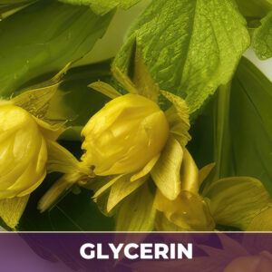Goldenseal root in glycerin