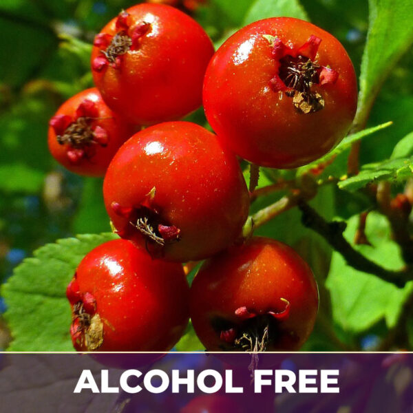 Hawthorn berries af