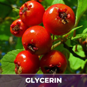 Hawthorn berry in glycerin
