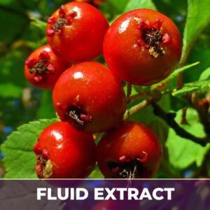 Hawthorne berries fe