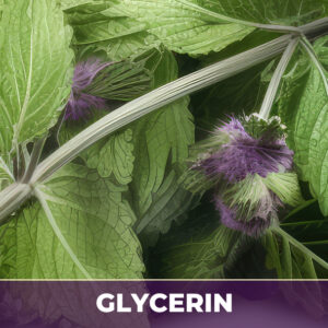 Horehound herb in glycerin