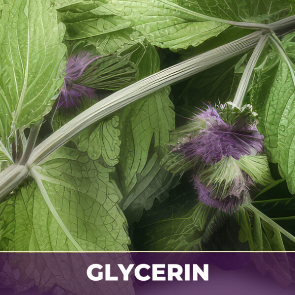 Horehound herb in glycerin