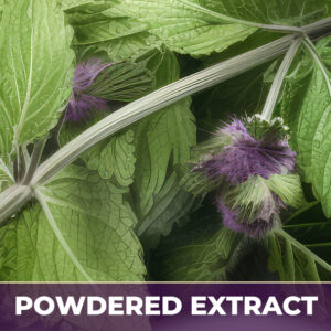 Horehound pe