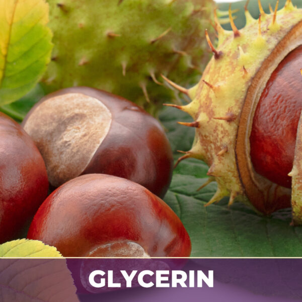 Horsechestnut seed in glycerin