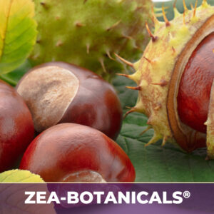 Horsechestnut seed zea-botanicals