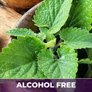 Lemon balm af