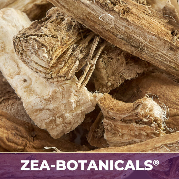 Marshmallow root zea-botanicals