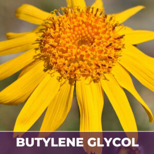 Mexican arnica flower in brontide butylene glycol