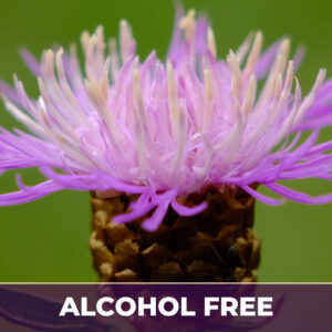 Milk thistle af