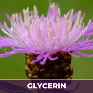 Milk thistle seed in glycerin