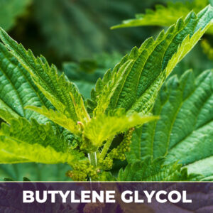 Nettle leaf in bg