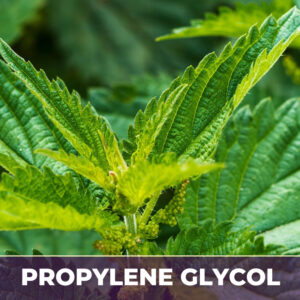 Nettle leaf in pg