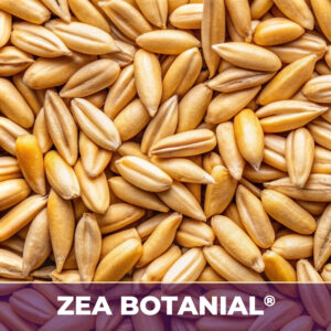 Oat seed zea-botanicals drum