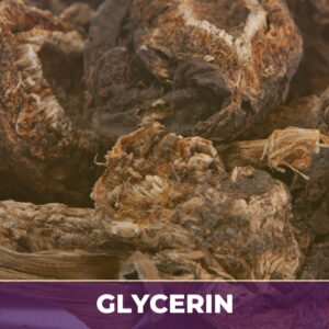 Osha root in glycerin