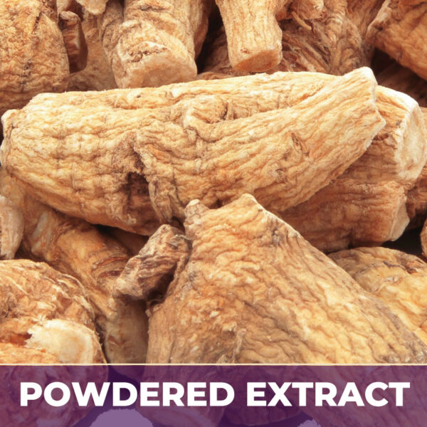 Panax ginseng pe