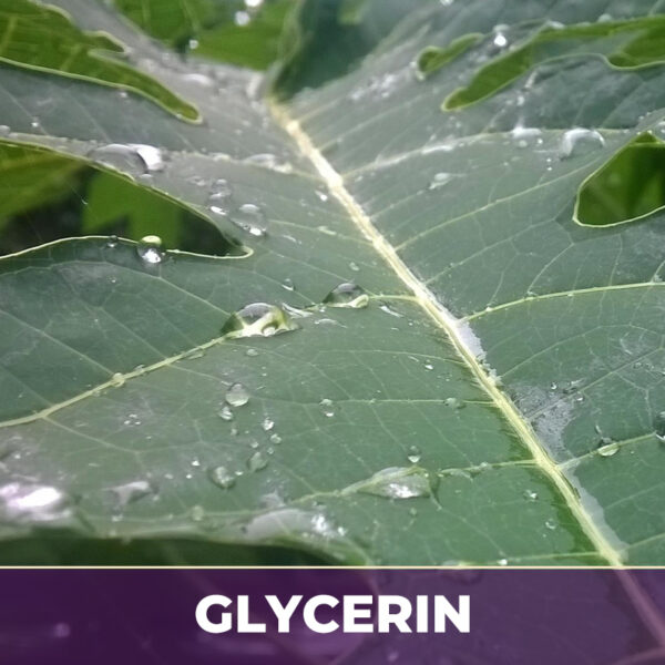 Papaya leaf in glycerin