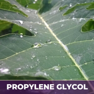 Papaya leaf in pg