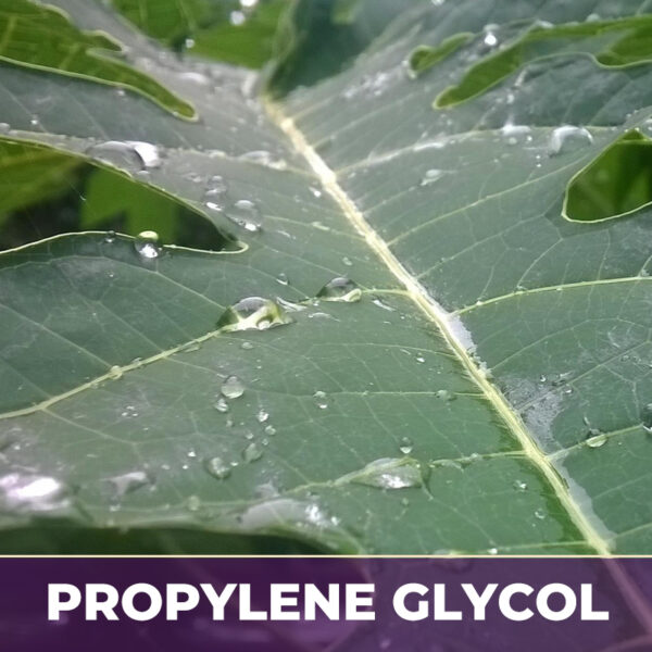 Papaya leaf in pg