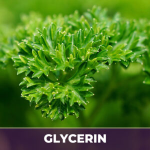 Parsley leaf in glycerin